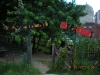 dscn4278-copia